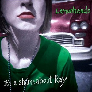 It's a Shame About Ray (1992)